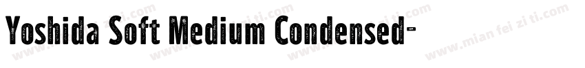 Yoshida Soft Medium Condensed字体转换